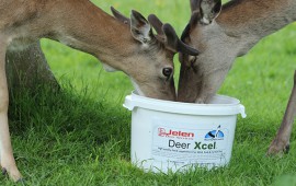 West Highland Hunting has joined forces with Jelen Deer Services